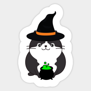 Funny fat cat is wearing a witch costume Sticker